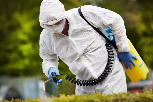 gallery pest control (1)
