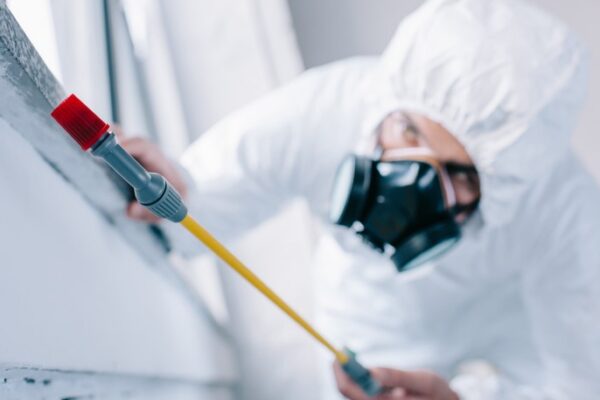 gallery pest control (1) (Copy)