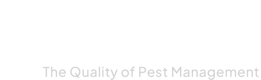 logo-footer