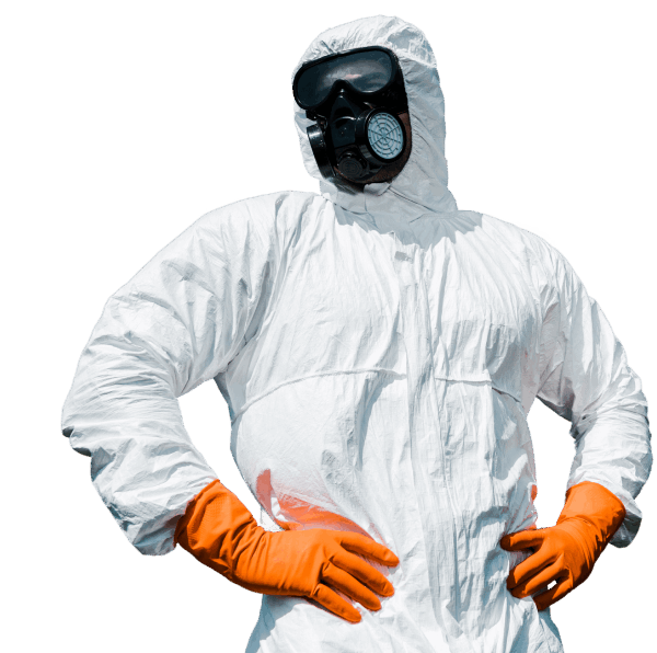 pest control
